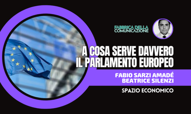 A COSA SERVE DAVVERO IL PARLAMENTO EUROPEO.