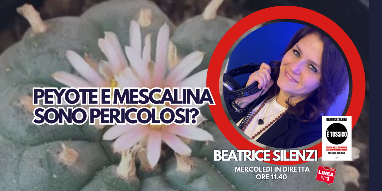 PEYOTE E MESCALINA SONO PERICOLOSI?