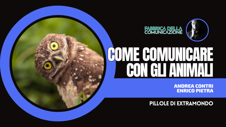 COME COMUNICARE CON GLI ANIMALI